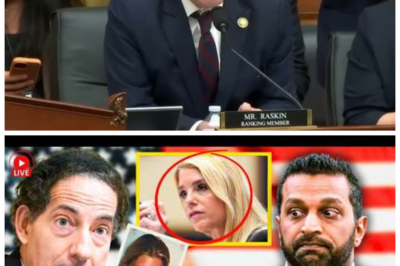 🐈 JAMIE RASKIN UNLEASHES Fury on Patel & Bondi in EPSTEIN File Firestorm 💥 Explosive Hearing Erupts as Secrets Threaten to Detonate Capitol Hill 👇 In a jaw-clenching showdown that had aides gripping their phones and pundits gasping for air, Jamie Raskin tore into Kash Patel and Pam Bondi over the handling of files linked to Jeffrey Epstein, accusing them of evasions and half-answers as the chamber crackled with tension, one staffer muttering “Transparency shouldn’t need a search warrant,” while whispers of buried names and political landmines ricocheted through the hearing room like shrapnel.