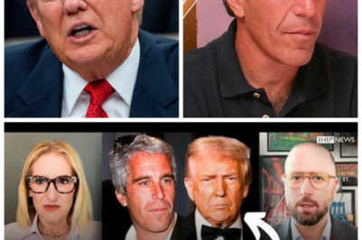 🐈 EPSTEIN SURVIVORS’ COUNSEL DROPS BOMBSHELL PLAN TO EXPOSE TRUMP’S HIDDEN FILES 🧨 “The truth will come out, no matter who quakes” as lawyers vow a legal crusade that could shake Washington to its core 👇 In an earth-shattering revelation that has Beltway insiders buzzing and Trump allies scrambling, the lawyer representing survivors of the late Jeffrey Epstein allegedly hinted at a coordinated strategy to force the full disclosure of files they say have been delayed and redacted by the Department of Justice, declaring “justice won’t be buried” as activists prepare a high-stakes push that could intertwine with political narratives and legal pressure across the nation.