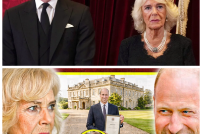 🐈 PRINCE WILLIAM SEIZES CONTROL of Queen’s Secret Estate 💎 Camilla’s Clan Left STUNNED as Palace Power Play Sparks Royal Fury 👇 In a twist that has aristocratic drawing rooms buzzing from Balmoral to Belgravia, Prince William is said to have secured control over a prized private estate once closely associated with Queen Elizabeth II, igniting whispers that allies of Queen Camilla are less than thrilled, with one insider allegedly scoffing “Inheritance is tradition—until it isn’t,” as courtiers scramble to soothe tensions behind gilded palace doors.