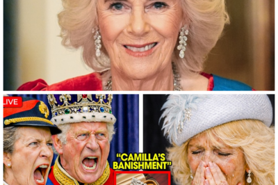 🐈 PALACE EXPLOSION: King Charles III ‘KICKS OUT’ Queen Camilla Amid Shocking Jewelry Whispers 💎 Claims of Missing Treasures Linked to Queen Elizabeth II Ignite Royal Firestorm 👇 In a scandalous swirl of rumor and raised royal eyebrows, insiders are buzzing over explosive claims that priceless jewels once adored by the late Queen have become the center of a bitter palace dispute, with aides hissing “In this family, even diamonds can cut deep,” as talk of confrontation, slammed doors, and icy silences fuels speculation about whether this is a lovers’ quarrel—or a full-blown monarchy meltdown.