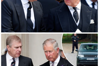 🐈 PALACE FREEZE-OUT: King Charles III ‘REFUSES ROOF’ to Prince Andrew 🏰 Insider Claims Royal Door Slammed Shut 👇 In a move sending shockwaves through aristocratic circles, whispers swirl that the King has drawn a firm boundary over housing arrangements for his embattled brother, with one palace insider allegedly remarking “The era of endless second chances is over,” as questions mount over titles, security, and whether this latest rift signals a colder, leaner monarchy determined to distance itself from lingering scandal.