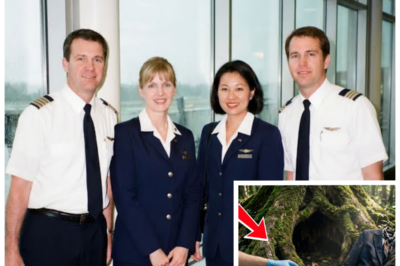 🐈 THEY LANDED SAFELY… THEN DISAPPEARED: 24 YEARS OF SILENCE SHATTERED WHEN A HIDDEN TREE HOLLOW 🌲 EXPOSED WHAT REALLY HAPPENED AFTER THAT 2001 FLIGHT Airport CCTV glitched, paperwork “misfiled,” and grieving families were handed tea and sympathy while being told “these things happen,” yet behind the tidy press briefings simmered whispers of a sealed perimeter and a midnight convoy, whispers dismissed as hysteria until forestry workers stumbled upon a cavern carved inside a massive trunk containing evidence that made even seasoned investigators go pale, turning a so-called routine landing into a scandal that now smells far worse than jet fuel 👇