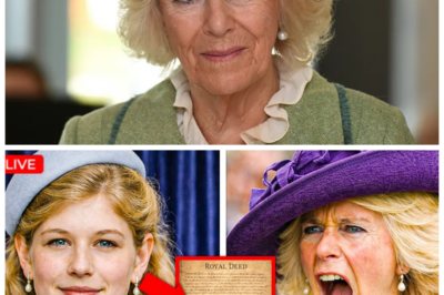 🐈 WILLIAM CONFIRMS LADY LOUISE’S INHERITANCE 💎 AND WHAT CAMILLA DID NEXT HAS PALACE INSIDERS GASPING What began as a straightforward confirmation of Lady Louise’s reported inheritance has ignited a fresh storm of whispers across royal corridors, with Prince William’s firm acknowledgment seen by some as a strategic show of support for the younger generation, while others claim it subtly redraws lines of influence inside the Firm; aides insist “there’s nothing dramatic about it,” yet sources hint that Camilla’s swift and unexpected reaction shifted the tone of the entire discussion, transforming a routine financial matter into a spectacle of loyalty, legacy, and quiet power plays 👇