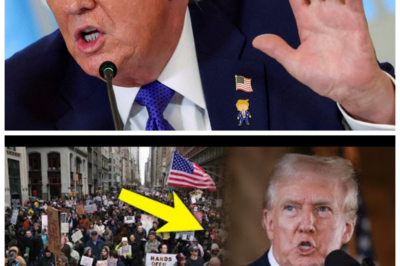 🐈 Trump “se derrumba” en pleno escenario político 😱 tras un golpe de última hora que desató pánico entre aliados, sonrisas nerviosas entre rivales, llamadas frenéticas desde despachos privados y rumores de crisis interna, traiciones encubiertas y decisiones desesperadas que podrían cambiar el tablero electoral en cuestión de horas, mientras asesores se contradicen, voceros guardan silencio y las redes hierven con teorías de conspiración y apuestas sobre quién será el próximo en caer Introducción: Entre murmullos alguien soltó con ironía “esto no estaba en el guion”, y los pasillos del poder se llenaron de sudor frío 👇