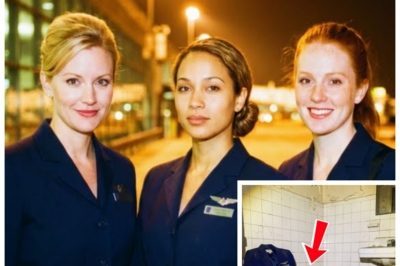 🐈 Three Flight Attendants Vanished From a Vegas Hotel in 1996 🎰 28 Years Later, a Hidden Wall Is Opened and a Long-Buried Secret Crawls Back Into the Light 👇 What was supposed to be a routine overnight layover in glittering Las Vegas turned into a mystery that haunted families and baffled investigators when three flight attendants disappeared without checkout, without luggage, without a single security alarm, and now, nearly three decades later, renovation crews allegedly uncovered a concealed wall cavity inside the aging hotel, prompting one shaken former employee to whisper, “Some doors were never meant to be sealed,” as cold case detectives dust off forgotten files and the neon glow of the Strip flickers over a story that refuses to stay buried.