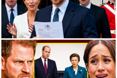 🐈 Custody Battle ENDS ⚖️ Then Harry Drops a Closed-Door Bombshell About Meghan & Andrew That No One Saw Coming 👇 Just when royal watchers thought the legal storm had finally settled, whispers erupt that Prince Harry stunned insiders with explosive claims about what allegedly happened behind palace doors involving Meghan, Duchess of Sussex and Prince Andrew, turning what seemed like the end of a bitter chapter into the start of a far more dramatic reckoning, as one courtier scoffed, “It’s all been resolved amicably,” while the rumor mill roars back to life with talk of secret conversations, fractured loyalties, and a monarchy once again bracing for reputational aftershocks.