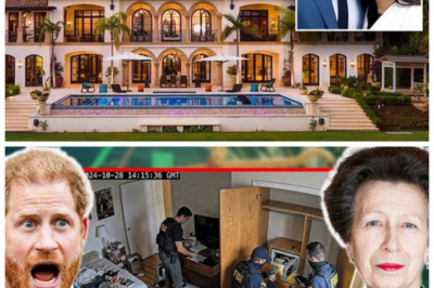 🐈 HARRY Flees Montecito Alone 🚨 After FBI Allegedly Seizes “Destroyed” Diana Jewels in Shock Twist That Rocks the Royal Narrative 👇 In a story exploding across gossip columns, rumors swirl that Prince Harry abruptly left Montecito solo after reports claimed the Federal Bureau of Investigation had taken possession of jewelry said to be linked to Diana, allegations that remain unverified but have nonetheless ignited a media firestorm, with one insider sarcastically insisting, “It’s all just a misunderstanding,” while commentators speculate about damaged heirlooms, private vaults, and the mounting pressure surrounding the Duke as whispers of scandal once again circle the House of Windsor.