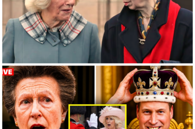 Royal Earthquake: Princess Anne Allegedly BANS Camilla from Prince William’s Future Coronation in a Ruthless Power Move That Sparks Palace Panic, Revives Old Rivalries, and Threatens to Split the House of Windsor in a Spectacle of Pride and Protocol -KK In a twist that feels more like a political thriller than a royal ceremony, insiders claim Anne drew a hard line in the sand over Camilla’s role, igniting whispers of buried grudges and icy private confrontations, as stunned aides scramble to contain the fallout from a decision that could redefine alliances at the very top of the monarchy. The full story is in the comments below.