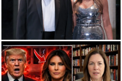 🐈 Corte Suprema cerró la última puerta legal ⚡ y Melania protagonizó un giro tan inesperado que dejó mudos a aliados y rivales, con pasillos judiciales hirviendo, asesores corriendo con carpetas bajo el brazo y rumores de ruptura interna, pactos secretos y decisiones personales que podrían reconfigurar el tablero político en cuestión de horas, mientras cámaras captan miradas tensas, silencios calculados y un detalle final que según testigos “no estaba en ningún libreto”. Introducción: La sentencia cayó como martillazo y alguien murmuró con ironía (“sí, claro, hoy iba a ser un día tranquilo”), mientras el foco se desplazaba de los tribunales al entorno más íntimo y el morbo explotaba sin control 👇