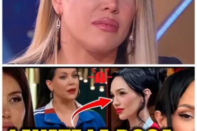 “¡Impactante revelación! 💣 Por qué TELEFE ocultó la pelea en vivo de Wanda Nara y La Joaqui en MasterChef”  La farándula está en shock tras enterarse de que TELEFE decidió no transmitir la feroz pelea entre Wanda Nara y La Joaqui en MasterChef. “El silencio a veces habla más que las palabras”, y esta decisión ha dejado a todos con dudas sobre lo que realmente ocurrió. ¿Qué llevó a la cadena a censurar este momento tan explosivo? ¡Los secretos están a punto de salir a la luz! 👇