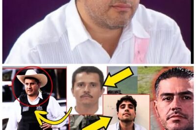 🔥⚖️¡HARFUCH LO CONFIRMA: EL ASESINATO DE CARLOS MANZO FUE ORDEN POLÍTICA!📜 En una rueda de prensa tensa, el jefe de seguridad revela audios y transferencias bancarias que incriminan a un senador en activo. “Manzo sabía demasiado… y lo hicieron callar”, murmuró uno de los escoltas mientras los periodistas enmudecían👇