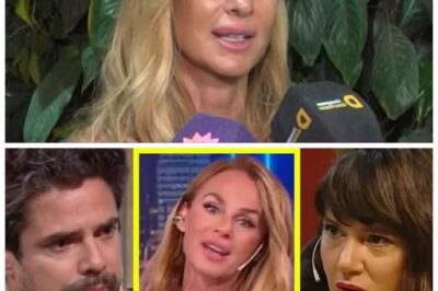 🔥 “¡Sabrina Rojas EXPLOTA y DESTROZA a Griselda Siciliani y Luciano Castro! 💥 La infidelidad que sacudió España”  En un escándalo que ha dejado a todos en shock, Sabrina Rojas ha decidido hablar y no se ha guardado nada al referirse a la supuesta infidelidad de Luciano Castro con Griselda Siciliani durante su viaje a España.”Cuando el amor se convierte en traición, las palabras son armas”, declara, mientras las redes sociales arden con reacciones explosivas.👇