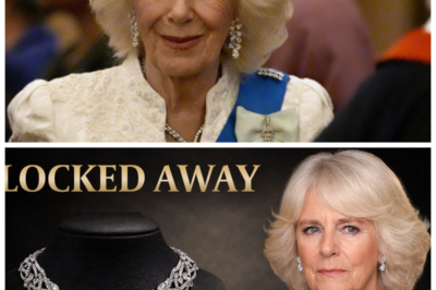 The Necklace Missing Since 1997 Suddenly Appears Around Camilla’s Neck and Royal Watchers Are Demanding Answers -KK For decades it was whispered about in hushed tones, a glittering piece of history that supposedly vanished after 1997 without paperwork, explanation, or closure; now, in a moment caught by sharp eyed cameras, that very necklace seems to be resting on Camilla’s neck, igniting a firestorm of speculation about how a long lost treasure quietly made its way back into the royal spotlight. The full story is in the comments below.