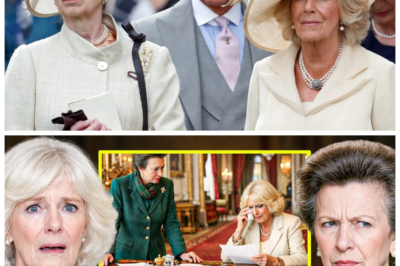 Princess Anne Reportedly Removes Camilla from Official Royal Family Tree and Palace Insiders Are Calling It a Symbolic Earthquake -KK Royal watchers were left stunned after claims surfaced that Princess Anne had authorized an update to an official family display that no longer included Camilla, a move some describe as administrative while others whisper it was anything but; behind the polished smiles and ceremonial waves, observers say this alleged revision feels less like housekeeping and more like a pointed message sent through parchment and protocol. The full story is in the comments below.