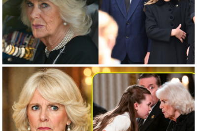 Princess Charlotte’s Alleged Remark to Camilla at Glittering State Dinner Leaves the Entire Room in Stunned Silence -KK It was an evening designed for polished smiles, crystal glasses, and carefully rehearsed pleasantries, yet insiders claim the atmosphere shifted in an instant when Princess Charlotte reportedly delivered an unexpected comment to Camilla; guests are said to have frozen mid sip as the words hung in the air, transforming a formal banquet into a moment that courtiers will be dissecting for months. The full story is in the comments below.