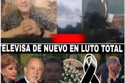 México de luto: Muere la icónica actriz Ana Luisa Peluffo, la leyenda que rompió esquemas.