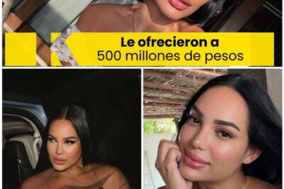 Oferta bajo la mesa: Andrea Valdiri expone la propuesta indecente de una cifra astronómica.