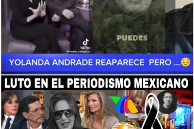 Tragedia en la pantalla: El último adiós a la estrella que Yolanda Andrade no pudo salvar.