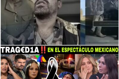 La traición de la carretera: El suceso que pone a Lolita Cortés en el centro de la noticia más triste.
