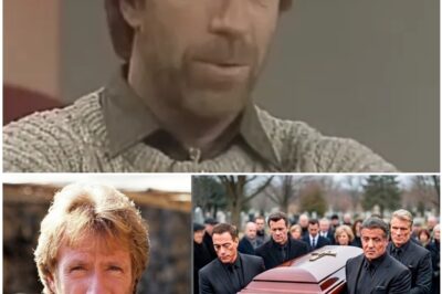 Chuck Norris y el “Retiro Forzoso”: La verdadera razón por la que desapareció de Hollywood.