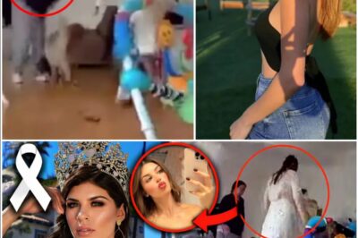 ¡Guerra en la alta sociedad! Suegra destruye públicamente a ex reina de belleza por casarse con su hijo.